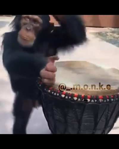 Banjo monk&eacute; vibing (˵ ͡&deg; ͜ʖ ͡&deg;˵)