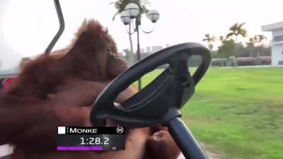 F1 driver, everyone&rsquo;s saying he&rsquo;s the quickest n&rsquo; tha, puts in the fastest lap, turns out&hellip;