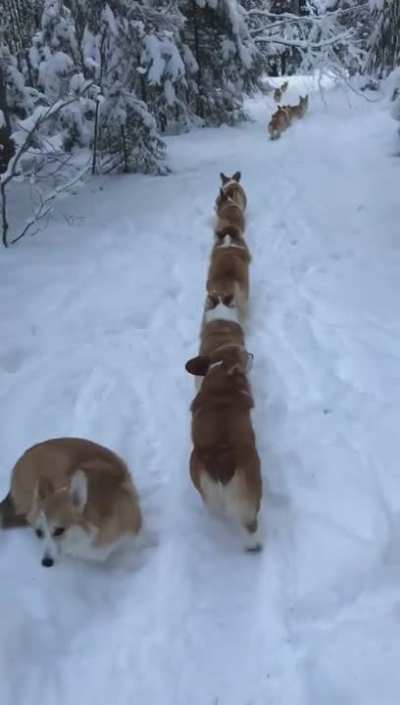 get in line!