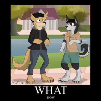 How doe?!