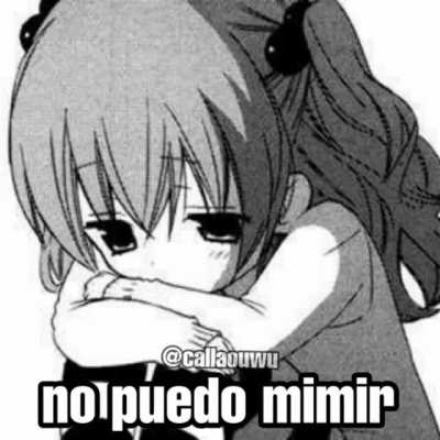 No puedo mimir