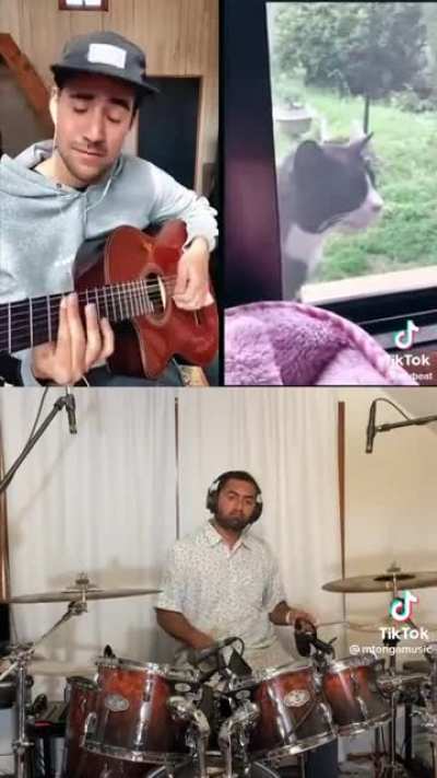 Smooth Cat Jazz