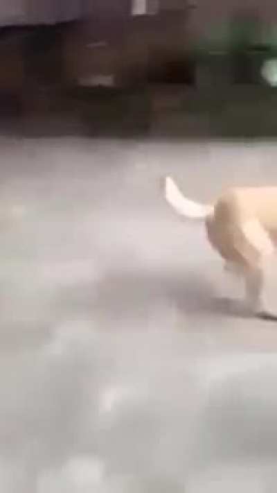 ????