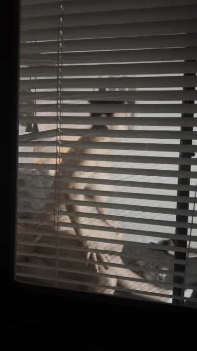 Hubby watching me fuck my 19yo boyfriend. I&rsquo;m 43 😈
