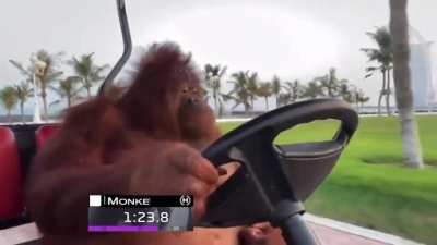 Still can't believe this guy got dropped last season. Anyone remember his insane pole lap?