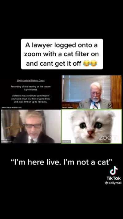 "I'm here live. I'm not a cat"