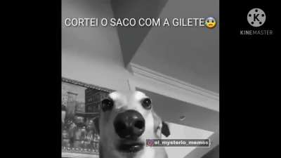 um membro da gang do Tobia cortou o saco com a gilete 😢✊