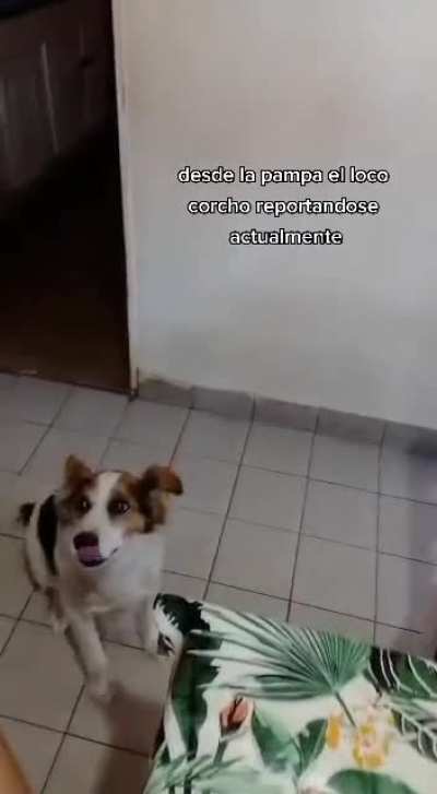 El loco corcho..!
