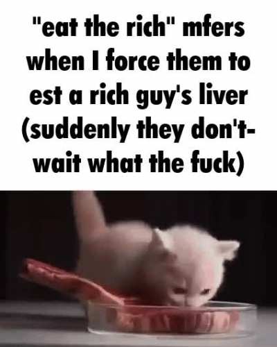 torn to shreds