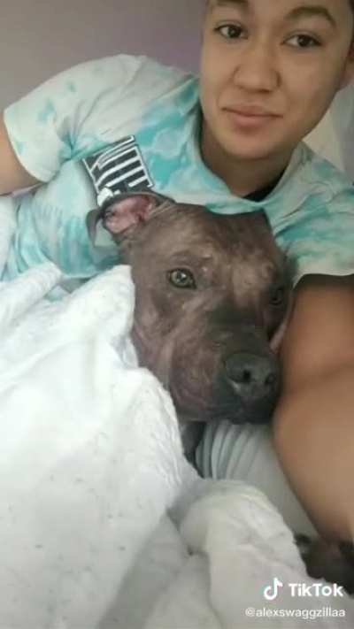 @alexswagzilla what&rsquo;s wrong with your dog 😂😂😂