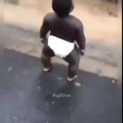 What that dog doin