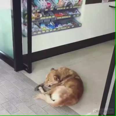 Existential crisis