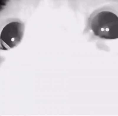 *sniff*