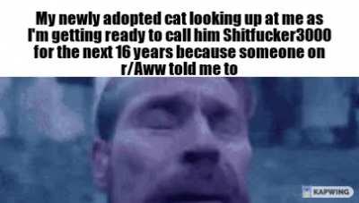 Me when