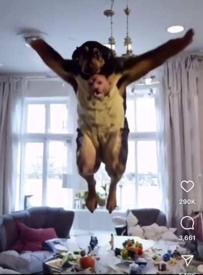 HheeeeeAAAAAAAhh &hellip; behold my final form.