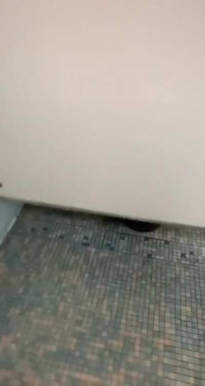 Bro I just wanted to pee, but I got something better.