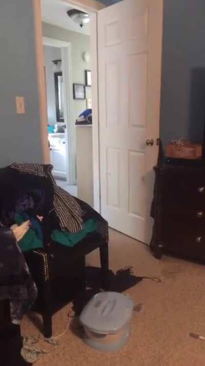calling for our dog&hellip;