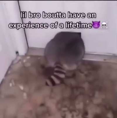 tittelle