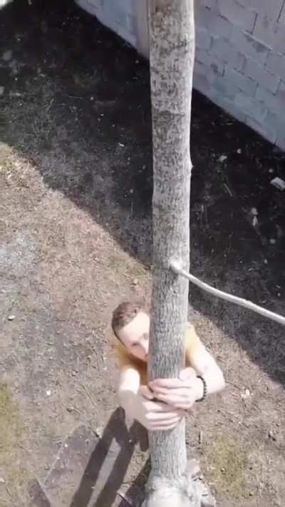 AYOO