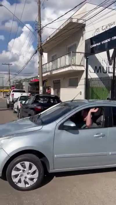 Seta cega