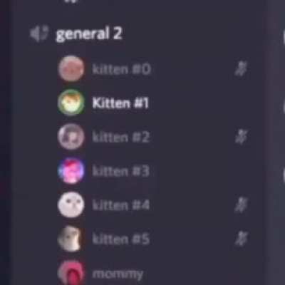 Cursed_kitten