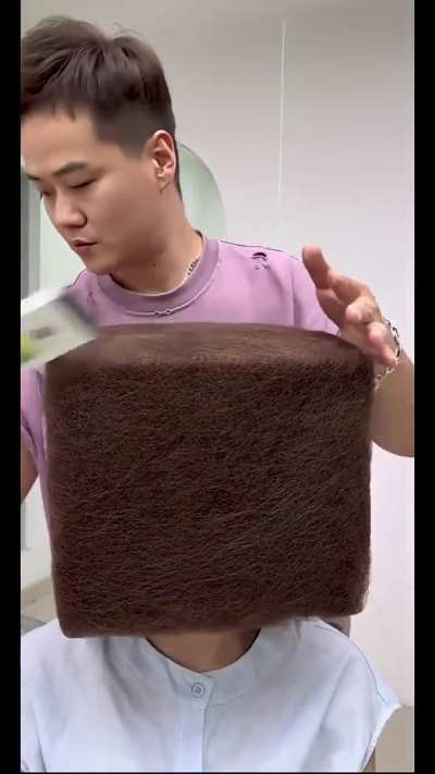 Minecraft hairdo