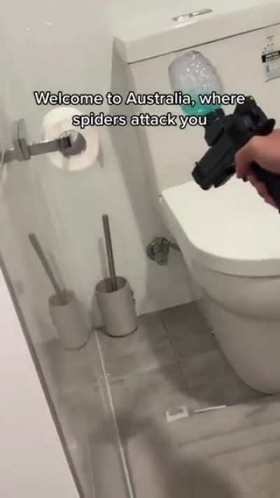 🕷️