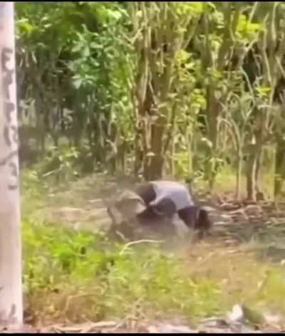 Que agon&iacute;a 