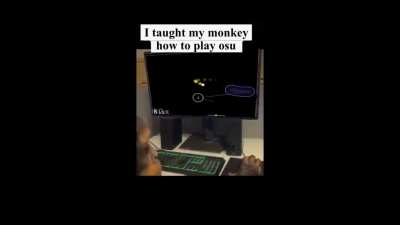 Pog