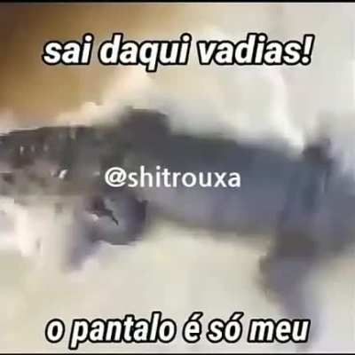 deixarao escapa mais 1 vacinado da covid