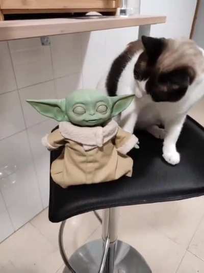 Baby Yoda