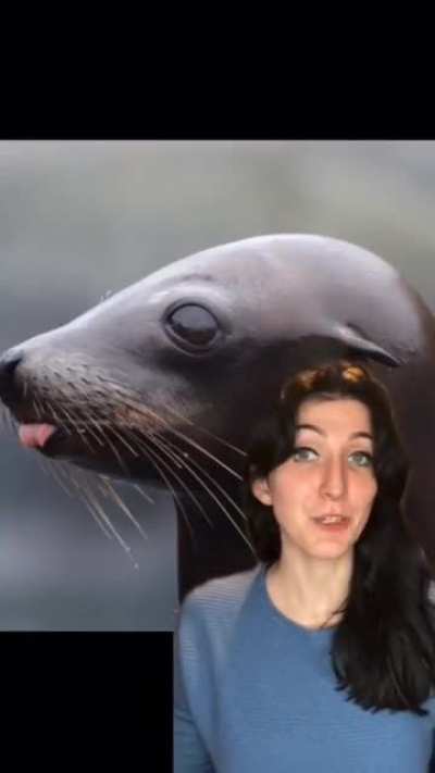 Nature truly is amazing