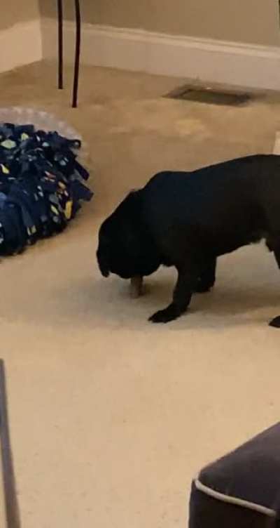 Gary does this with all his bones 🤦&zwj;♀️