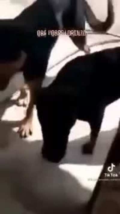Ya nom&aacute;s este xd