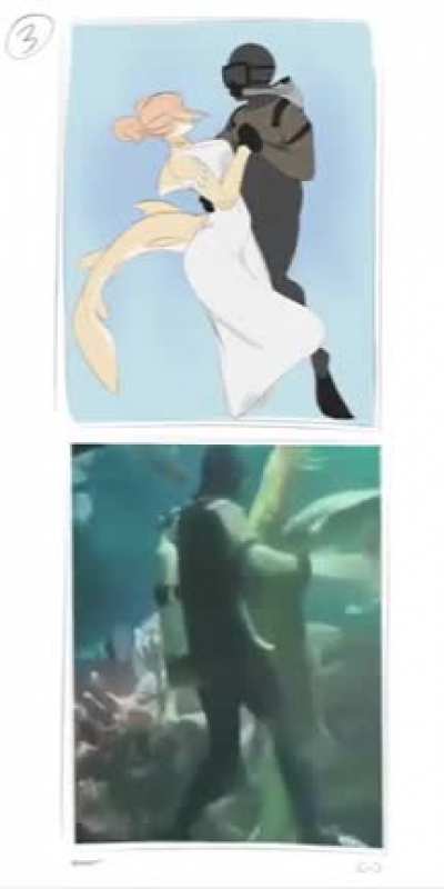 Shark