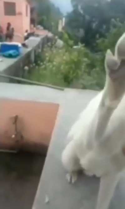High five!