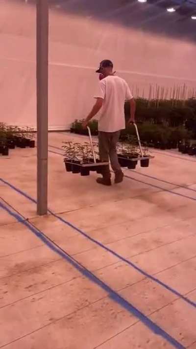 The &lsquo;The Pot-forks&rsquo; make moving one gallons easy.