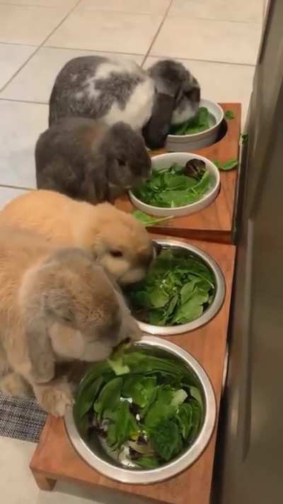 Eating