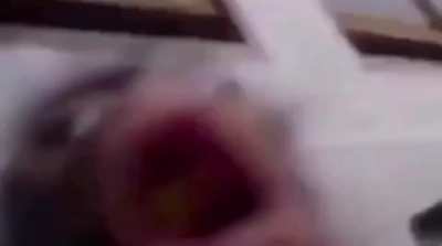 monke singing
