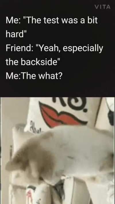 brain.exe has stopped working