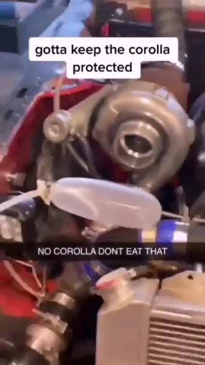 Nooo Corollaaaa