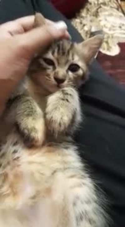 *yawn*