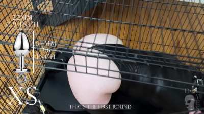 "Where is your place?" "In the cage, Sir"