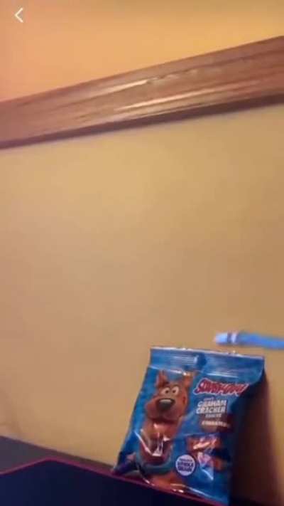 Scooby snax