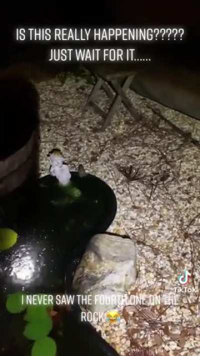 We will sing you the song of our people (loud warning)