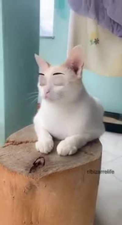 She said &ldquo;I beg your pardon?&rdquo;