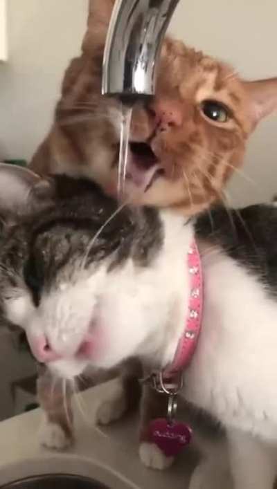Sharing is caring.