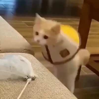 Maybe maybe maybe