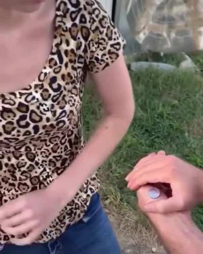 Magic trick