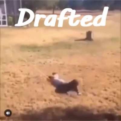 Drafted